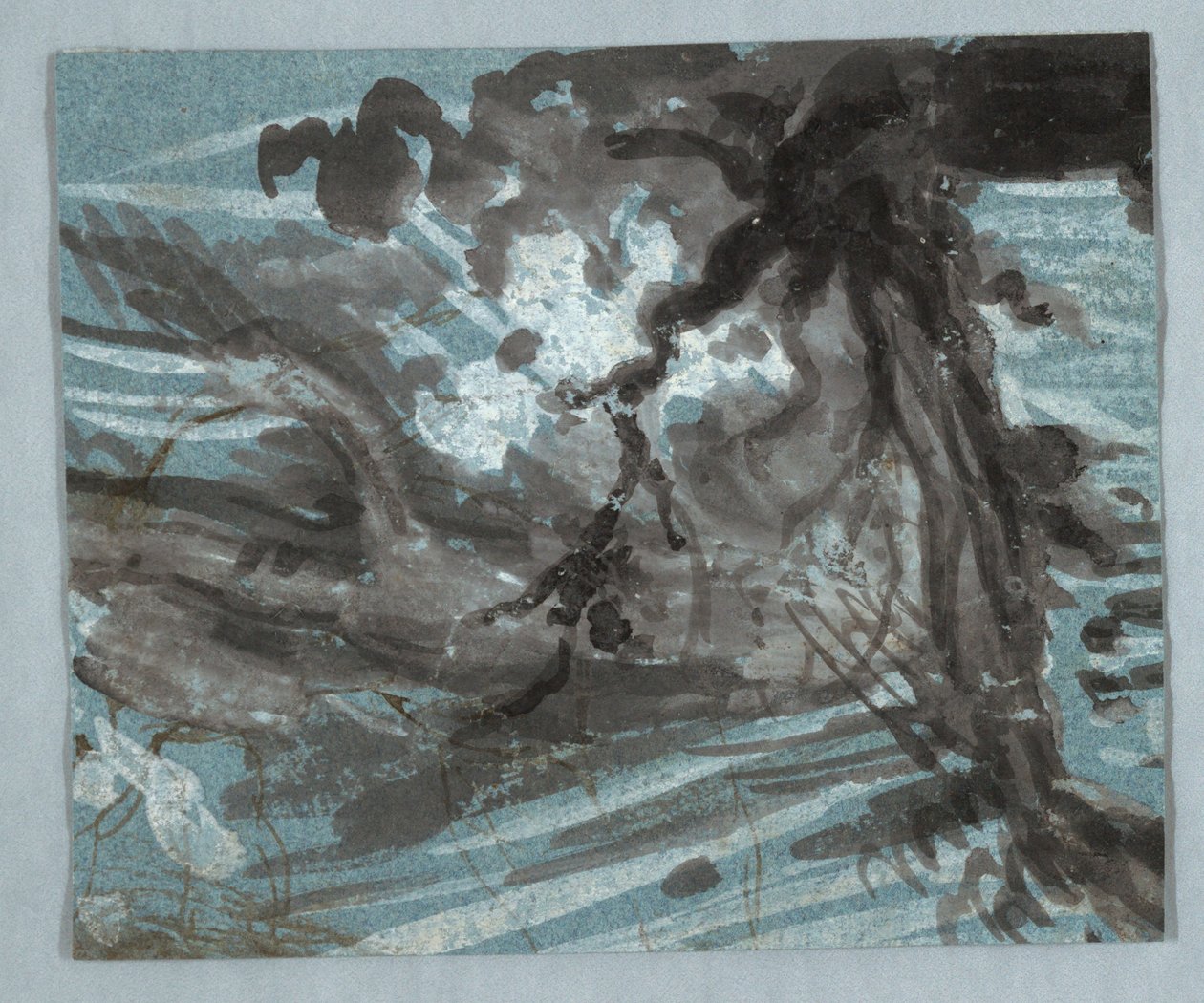 Esboço de uma árvore de Unknown artist