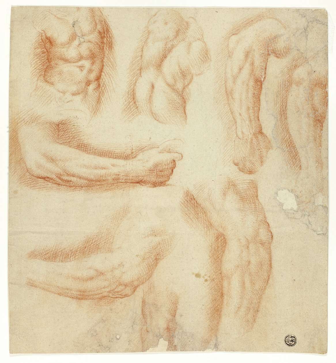 Esboços de braços, torso masculino e costas de Unknown artist