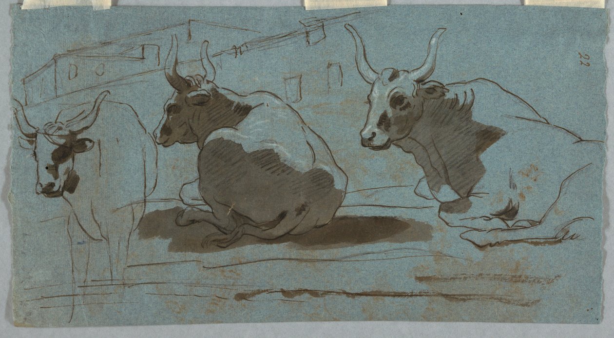 Esboços de touros de Unknown artist