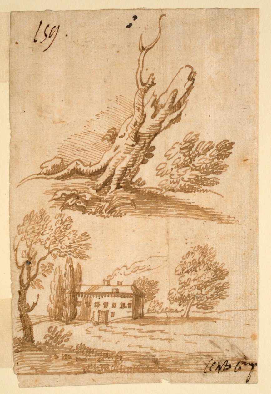 Esboços de uma Villa e Árvore de Unknown artist
