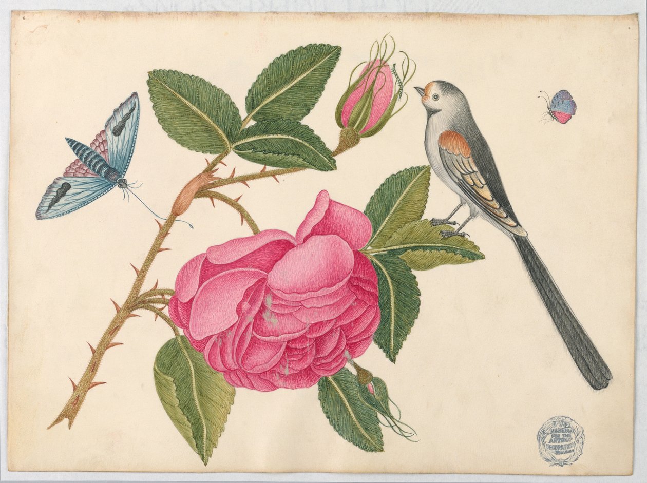Pequeno pássaro preto e branco na folha de rosa com flores e borboletas de Unknown artist