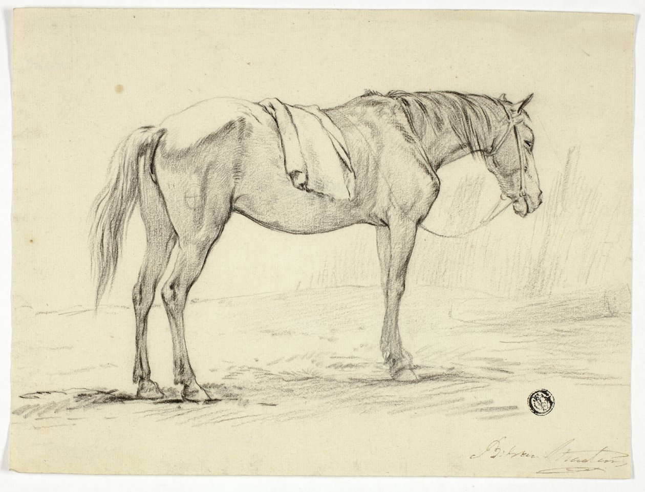 Cavalo de pé de Unknown artist