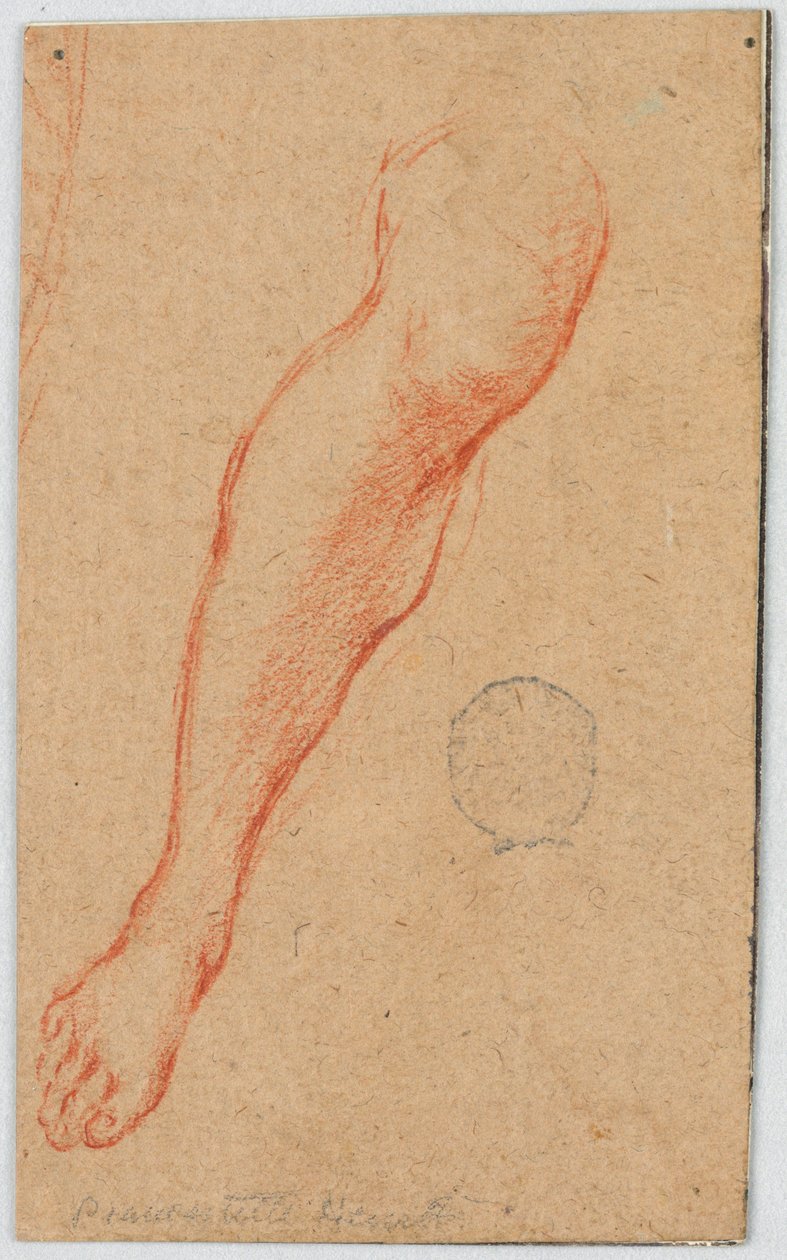 Estudo para a perna direita de uma mulher sentada de Unknown artist