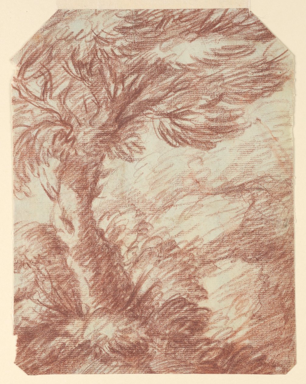 Estudo de Árvores de Unknown artist
