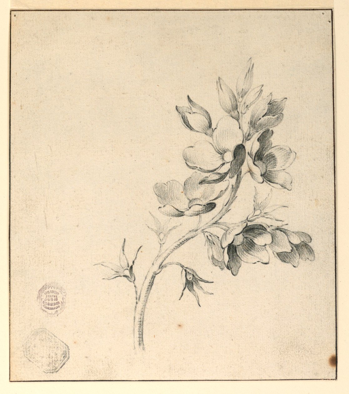 Estudo de um ramo de rosas selvagens de Unknown artist