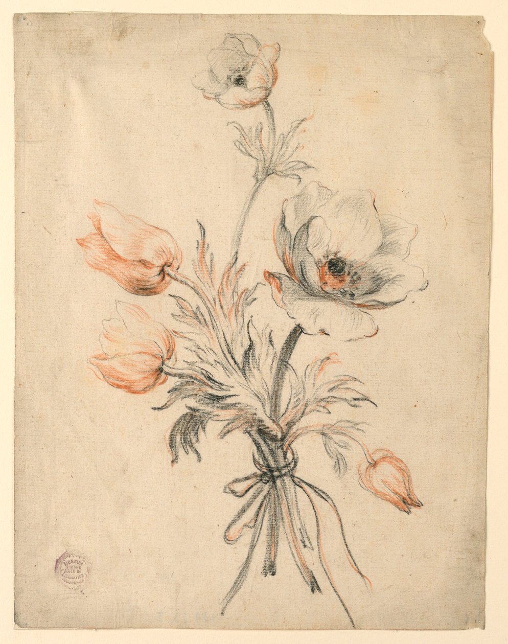 Estudo de um ramo de rosas de Unknown artist