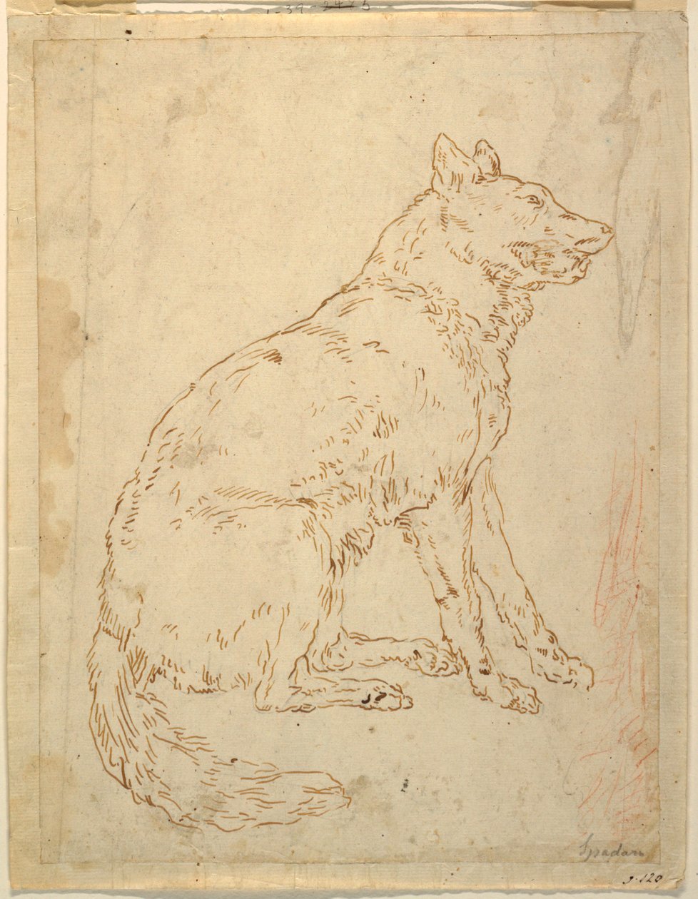 Estudo de um cão pastor de Unknown artist
