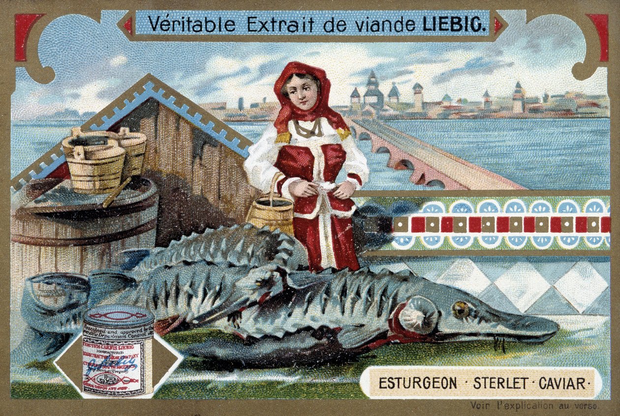 Esturjão, esterete, caviar, com uma jovem mulher segurando baldes, em frente a uma cidade russa - Liebig chromolithography de Unknown artist