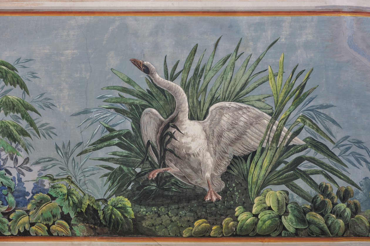 Cisne, detalhe de 3743687 (fresco) de Unknown artist