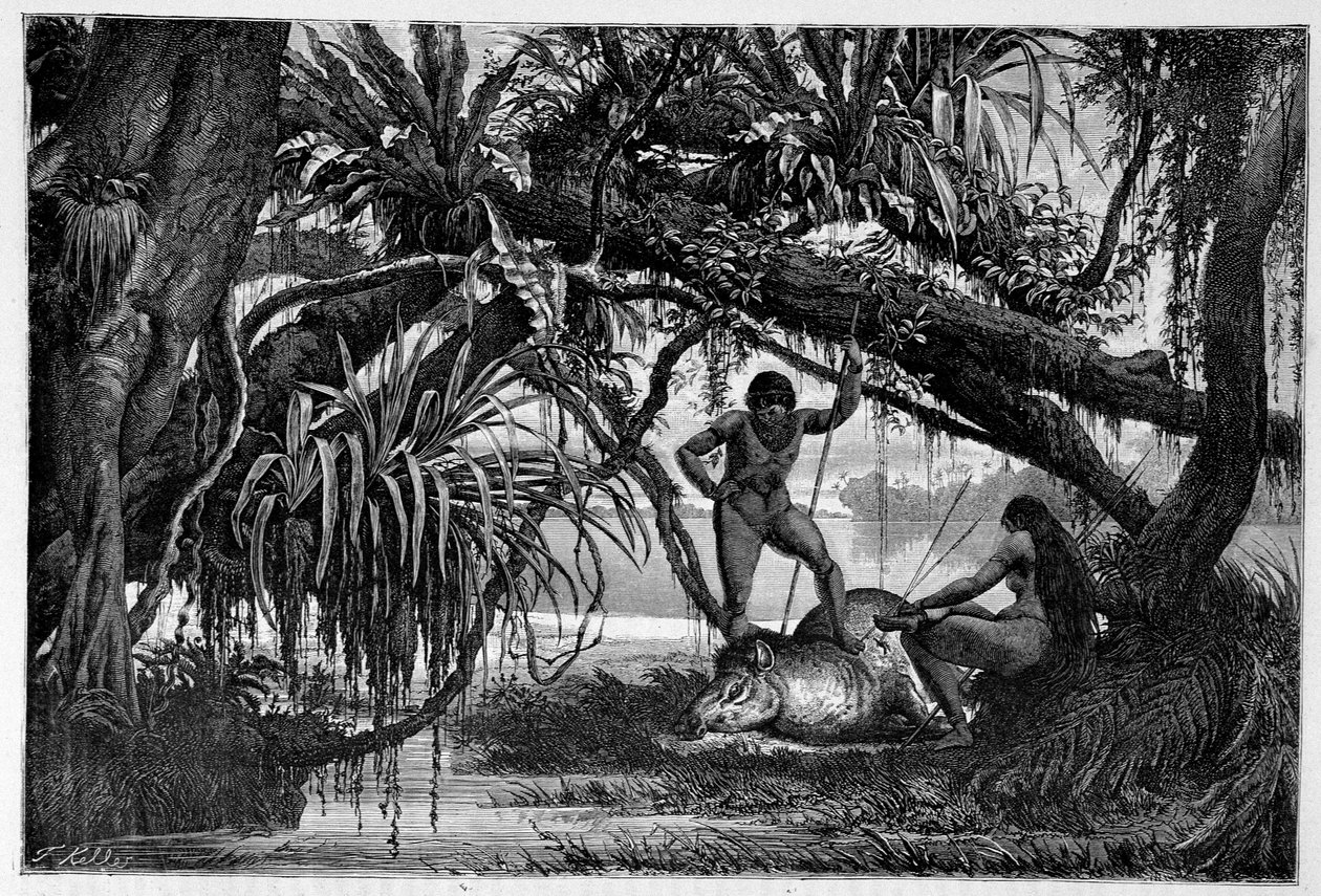 Tapir morta por índios do Brasil - em "Volta ao mundo", 2º semestre de 1874. de Unknown artist
