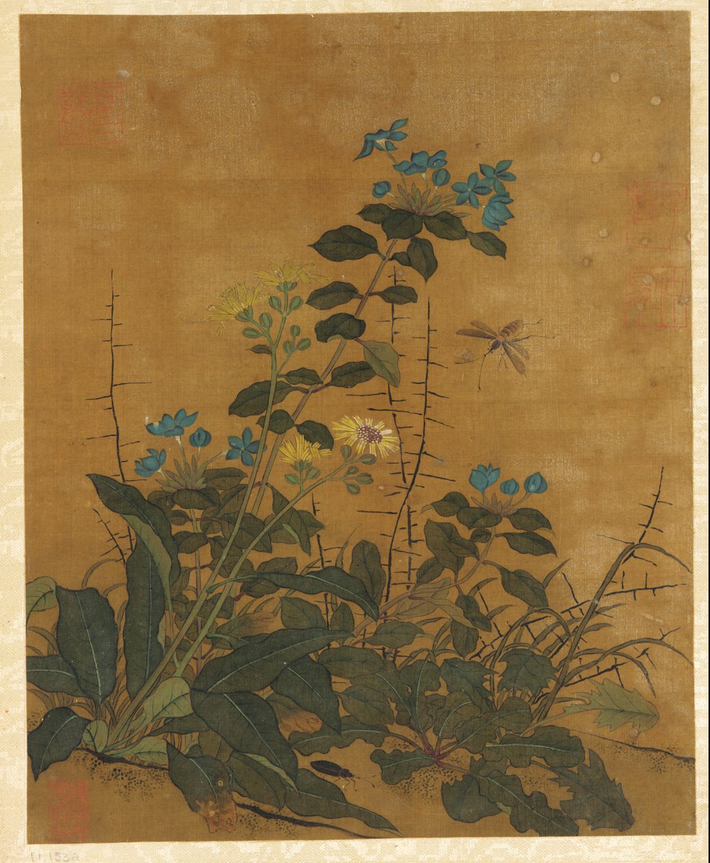Dez fotos de flores, frutas e pássaros de Unknown artist