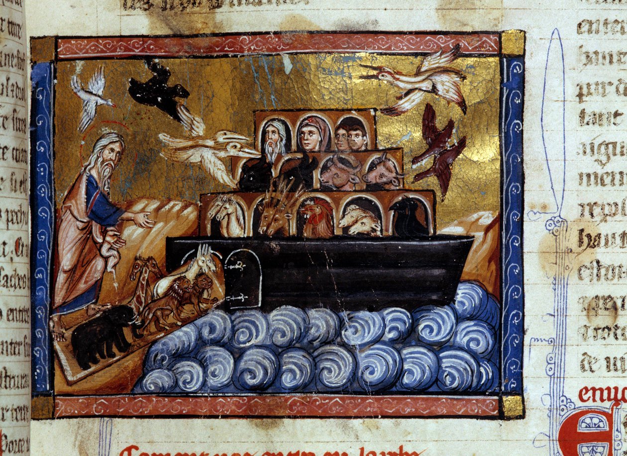 A Arca do Noé Miniatura de um manuscrito "História Universal" do século XIII. Biblioteca Municipal de Dijon de Unknown artist