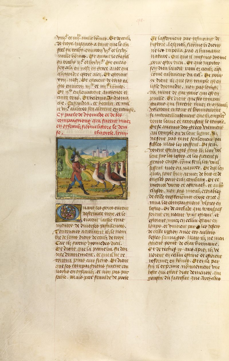 Os companheiros de Diomedes mudaram para gansos de Unknown artist