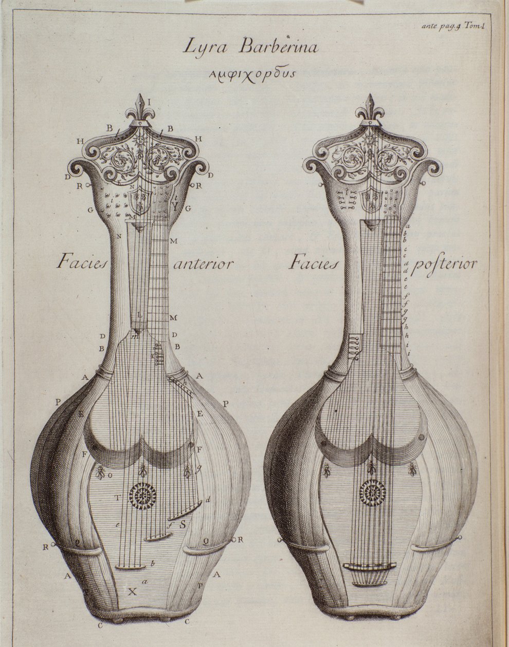 A Lyra Barberina (gravura de Unknown artist