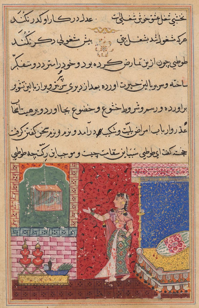 O papagaio se dirige a Khujasta no início da décima quinta noite, de um Tuti-nama (Contos de um papagaio) de Unknown artist