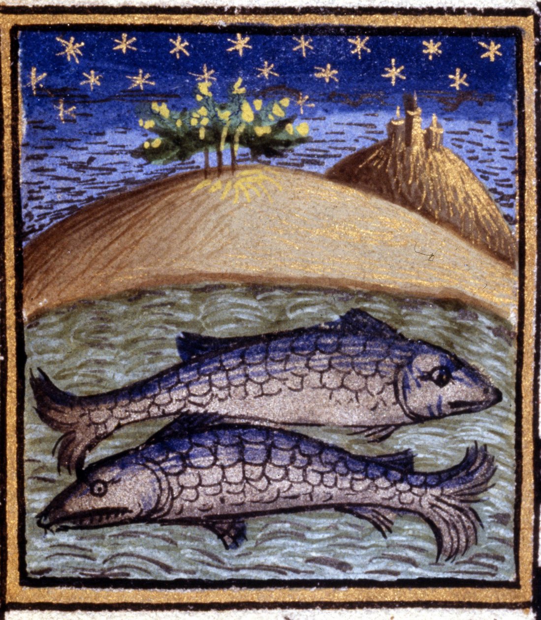 Os Peixes. Miniatura de um horóscopo. Manuscrito do século XV. Biblico. Trivulziana, Milão. de Unknown artist