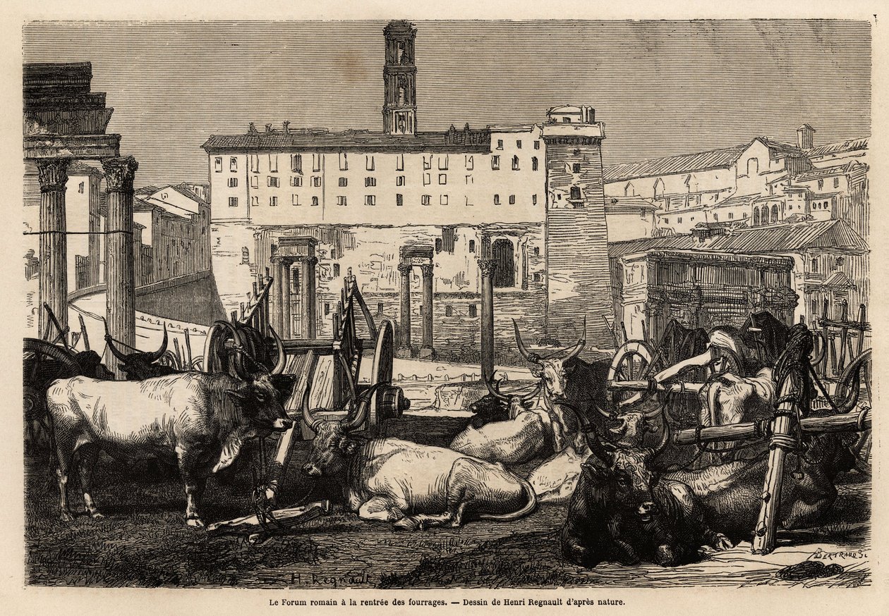 O fórum romano tem o aluguer de forragem, os bois jazem no meio de carrinhos e ruínas antigas. Engravure pour illustrrer le voyage à Rome, de Francis Wey, em 1864-1868, publicado em "Le tour du monde" 1869, editado por Edouard Charton, edição Hachette, de Unknown artist