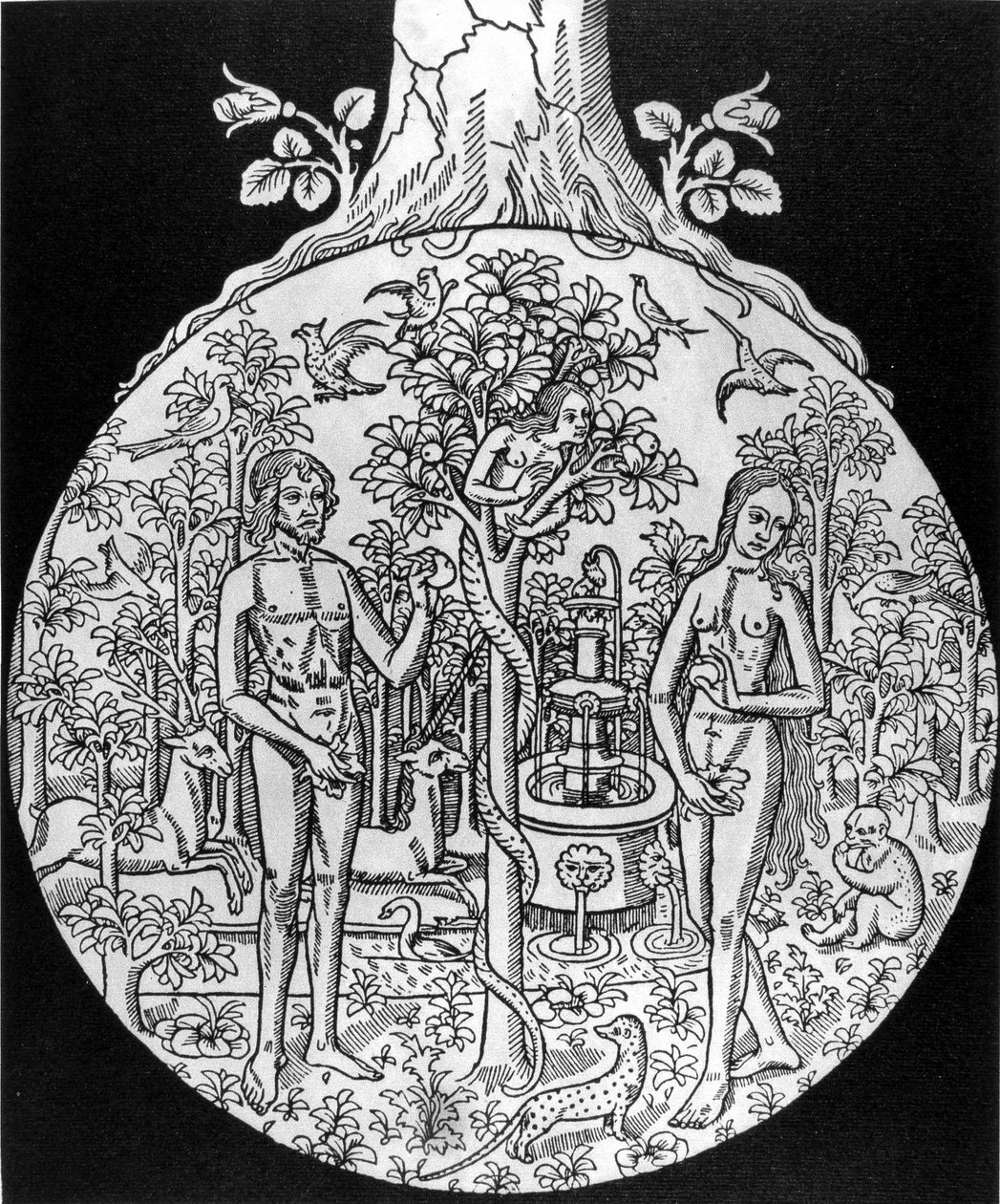 A Árvore da Ciência (Adão e Eva no Paraíso) - gravura, deb. Século XVI, em "L
