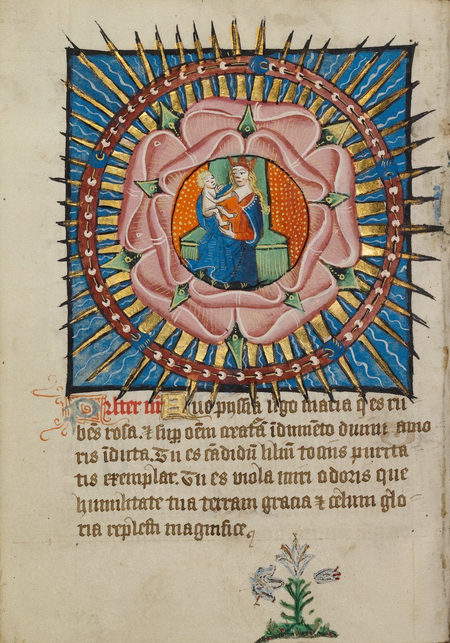 A Virgem e o Menino numa rosa cor-de-rosa com um lírio branco de Unknown artist