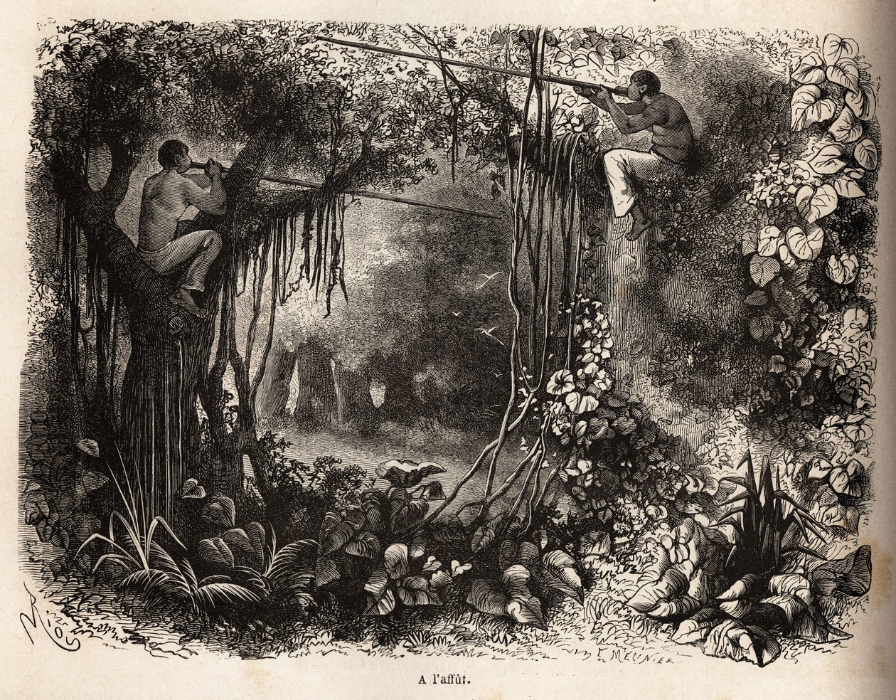 Os índios Yahua do Peru estão em busca de caça, poleiros nos galhos e armas de sarbacans com flechas envenenadas. Gravura para ilustrar a viagem do Oceano Pacífico à L