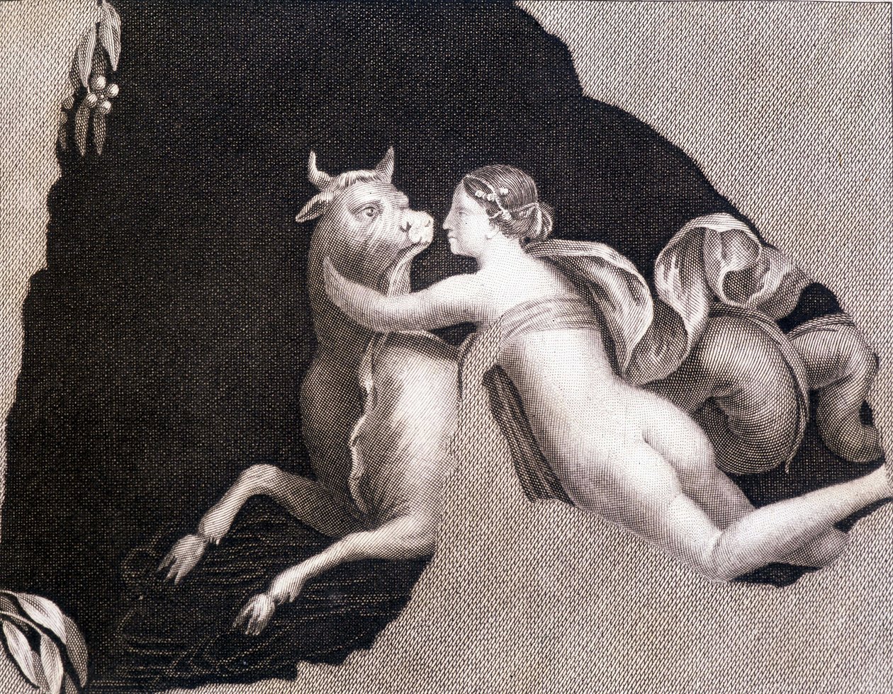O sequestro da Europa - gravura de Unknown artist