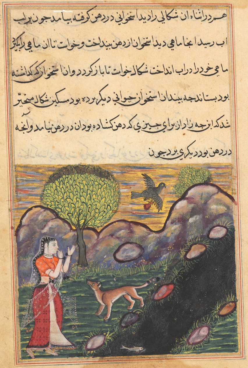A nora do rei de Banaras vê o chacal privado de seu alimento por um pássaro, que tenta sem sucesso pegar um peixe, de um Tuti-nama (Contos de um Papagaio): Décima Sexta Noite de Unknown artist