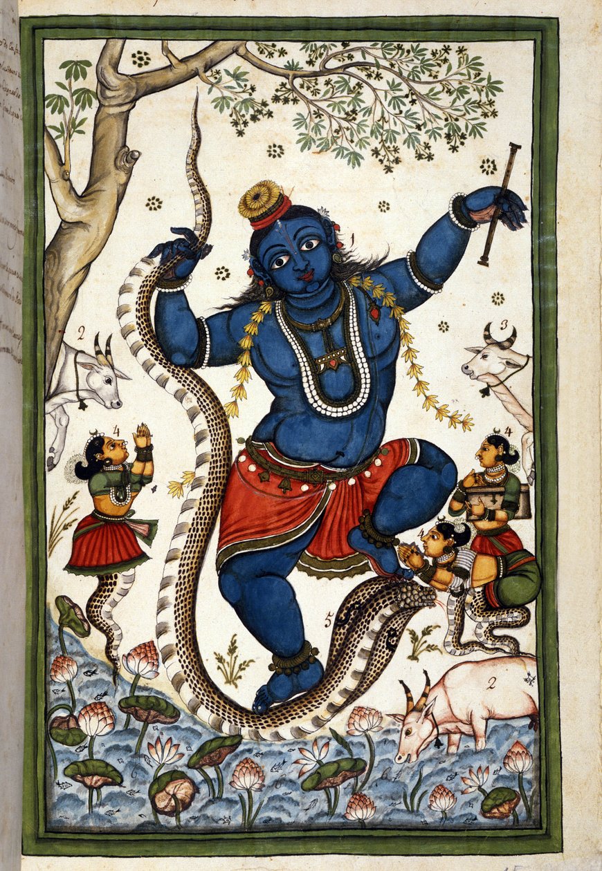 A divindade da Tríade Brahmânica Vishnu Page do manuscrito (ms. 8300) "História de Mogol" (Moghul ou Moghol) de Stefano Nivibus Cardeira. Século XVIII. Bibloteca marciana, Veneza. de Unknown artist
