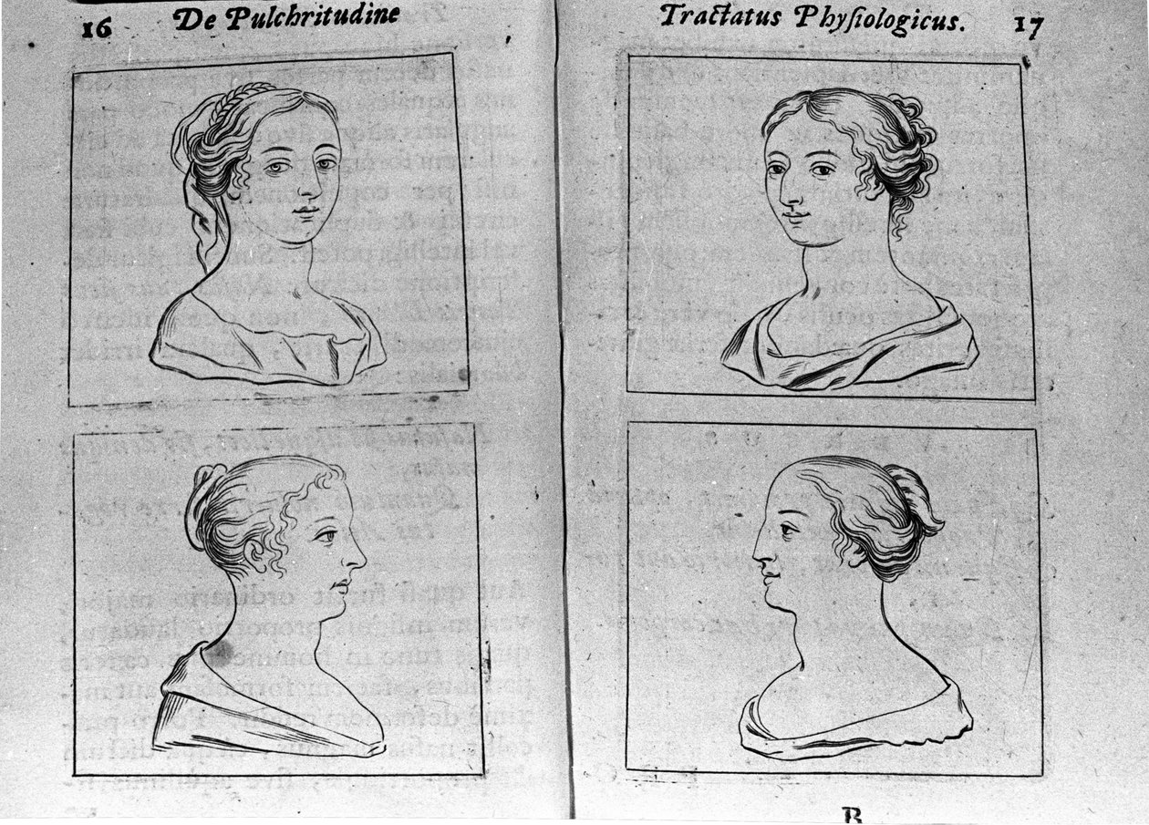 Os diferentes perfis femininos da página "Tractatus physiologicus de pulchritudine" trata com Ernesto Venio (Ernestus Vaenius) defendendo a beleza da criação contra um adversário anônimo. 1612 de Unknown artist