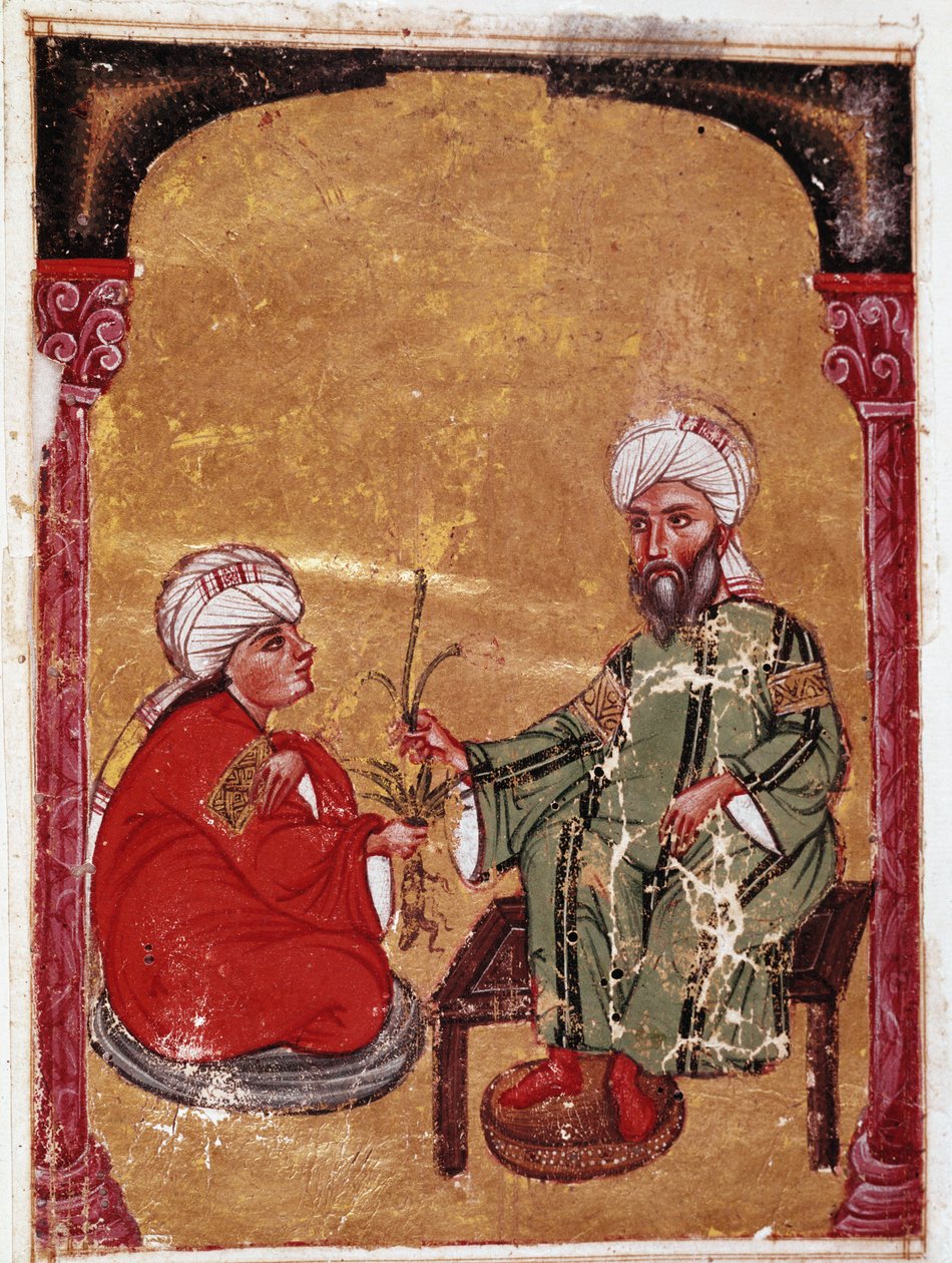 O médico e botânico Pedanius Dioscoride (Pedanius Dioscorides) (40-90 d.C.) sentado com um dos seus alunos Miniatura do seu tratado "De materia medica" (ms Ahmed III, 2147, folio 217a) 1229 Biblioteca do Museu Topkapi Sarayi, Istambul de Unknown artist