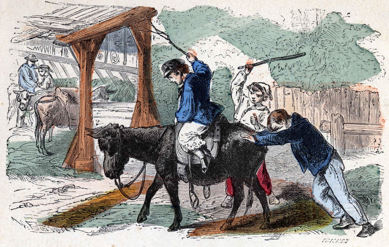 O burro na quinta. A ilustração do século XIX. Coleção Bianchetti. de Unknown artist