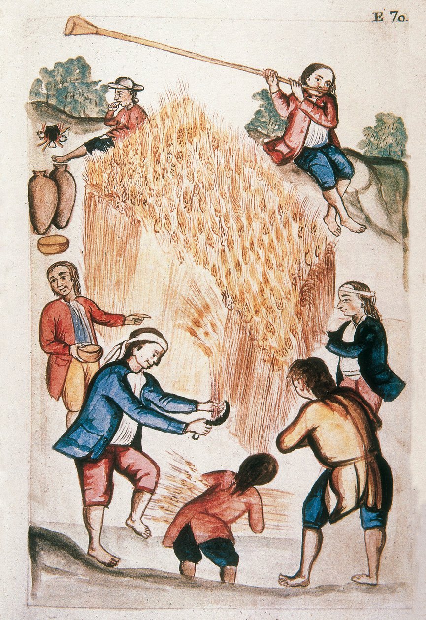 A colheita, do livro "Trujillo del Peru" ou "Códice Martínez Compañón", de Baltazar Martinez Compañón y Bujanda, bispo de Trujillo (1782-1785) de Unknown artist