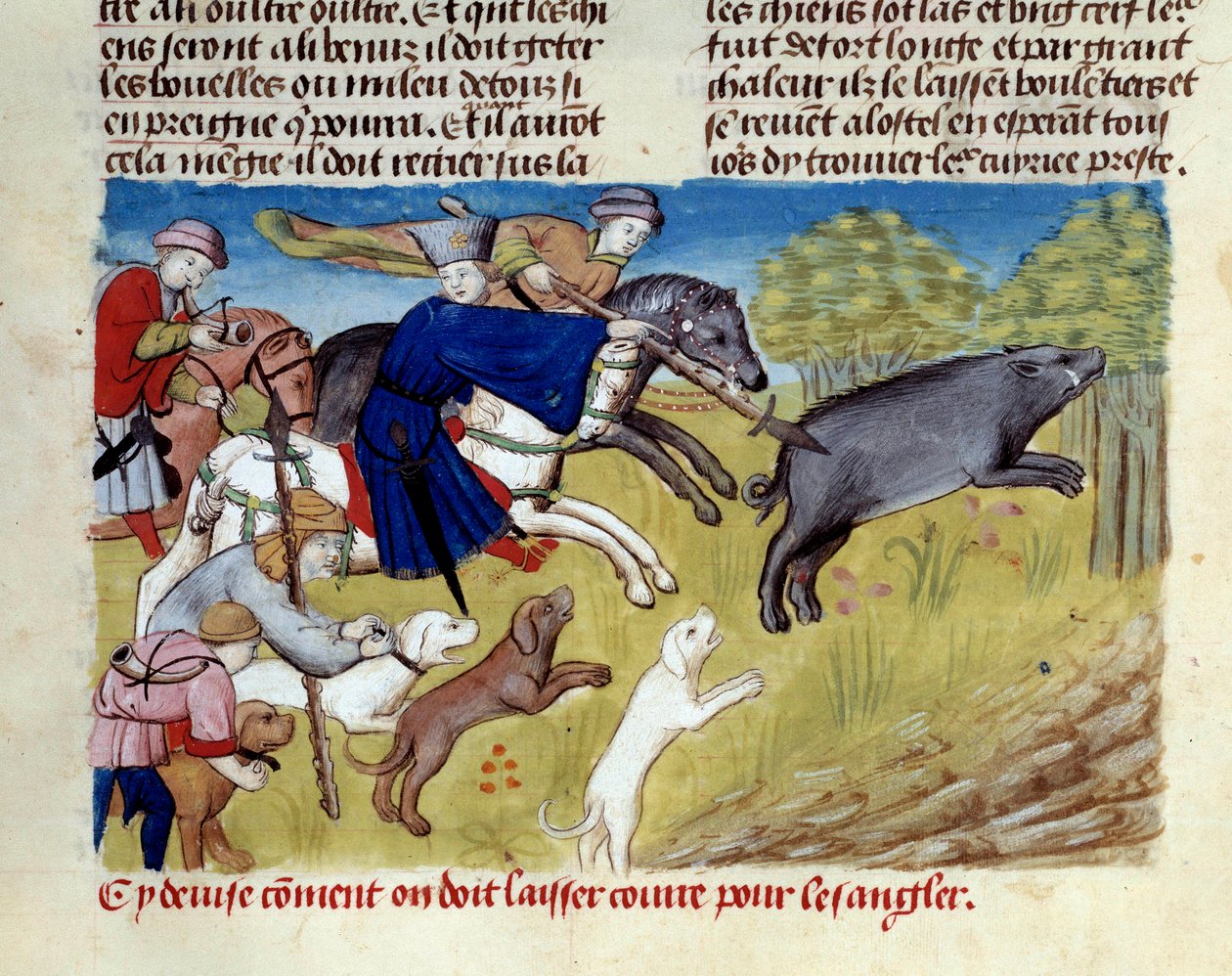 A caça ao javali em miniatura de "O livro de caça" de Gaston III Phoebus, Conde de Foix, Senhor de Bearn (1331-1391) de Unknown artist