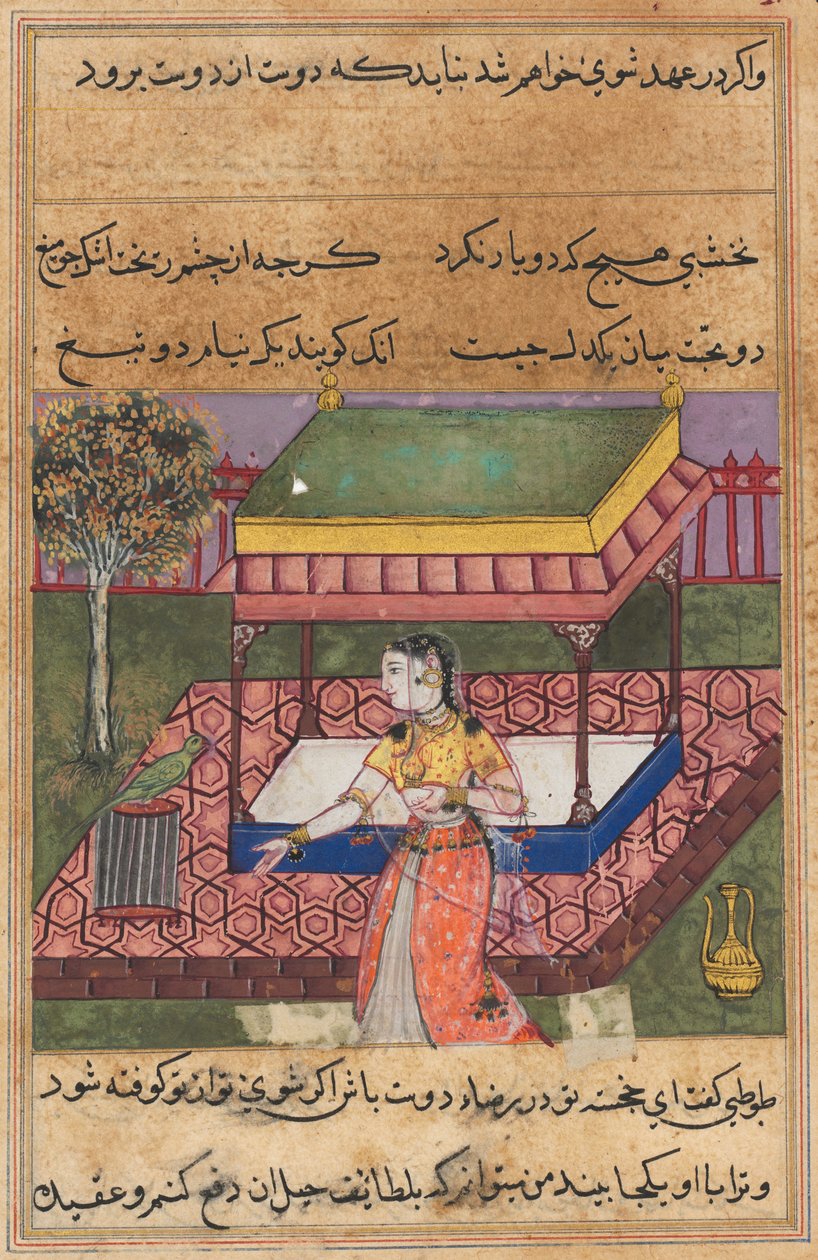 O papagaio se dirige a Khujasta no início da quadragésima noite, de um Tuti-nama (Contos de um Papagaio) de Unknown artist