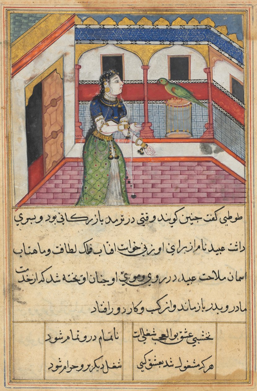 O papagaio se dirige a Khujasta no início da quadragésima segunda noite, de um Tuti-nama (Contos de um Papagaio) de Unknown artist