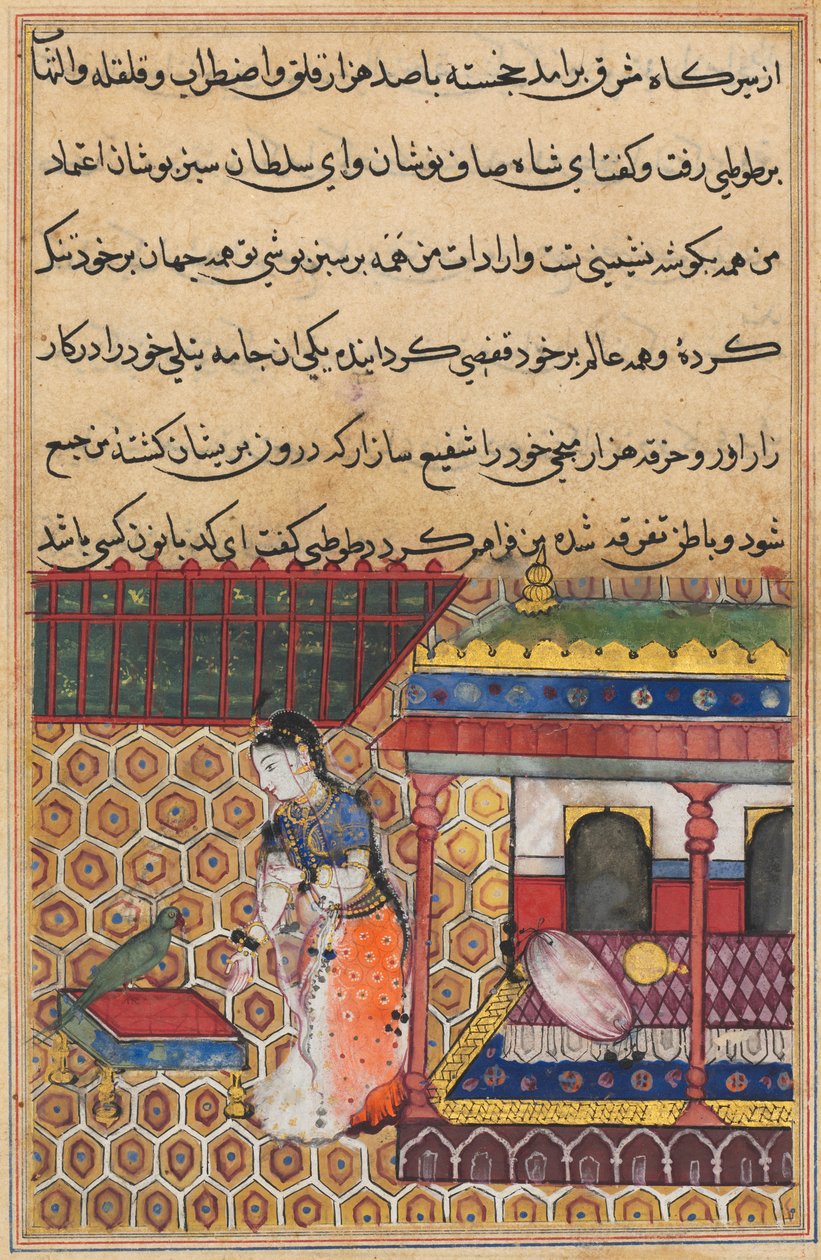 O papagaio se dirige a Khujasta no início da trigésima oitava noite, de um Tuti-nama (Contos de um Papagaio) de Unknown artist