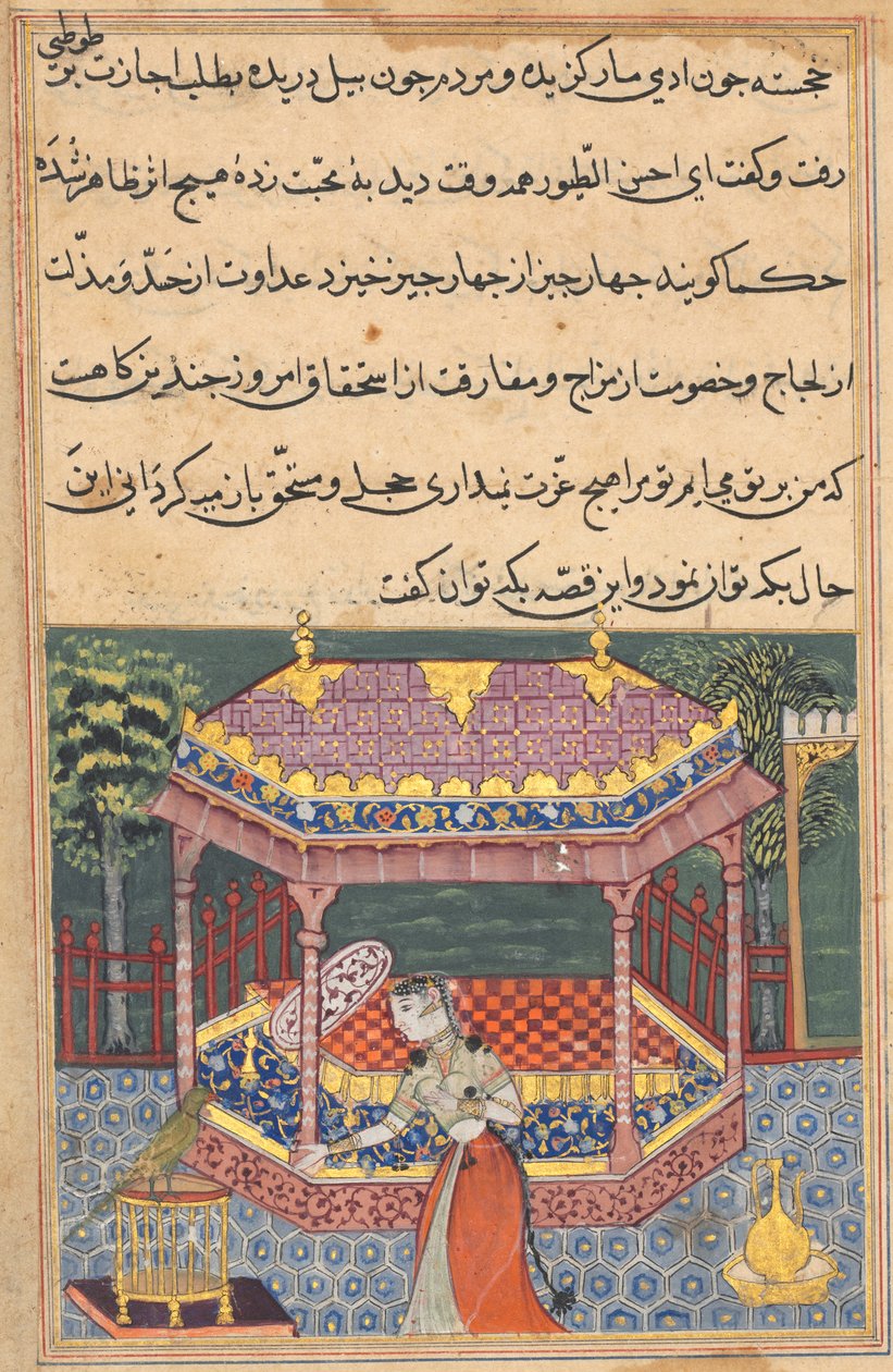 O papagaio se dirige a Khujasta no início da trigésima sétima noite, de um Tuti-nama (Contos de um Papagaio) de Unknown artist