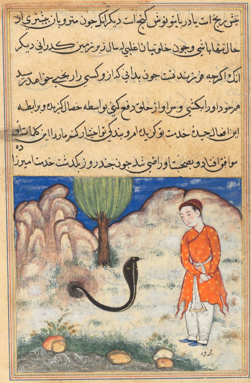O príncipe, um filho do governante de Sistan, entra ao serviço de uma cobra, de um Tuti-nama (Contos de um Papagaio): Trigésima Sétima Noite de Unknown artist
