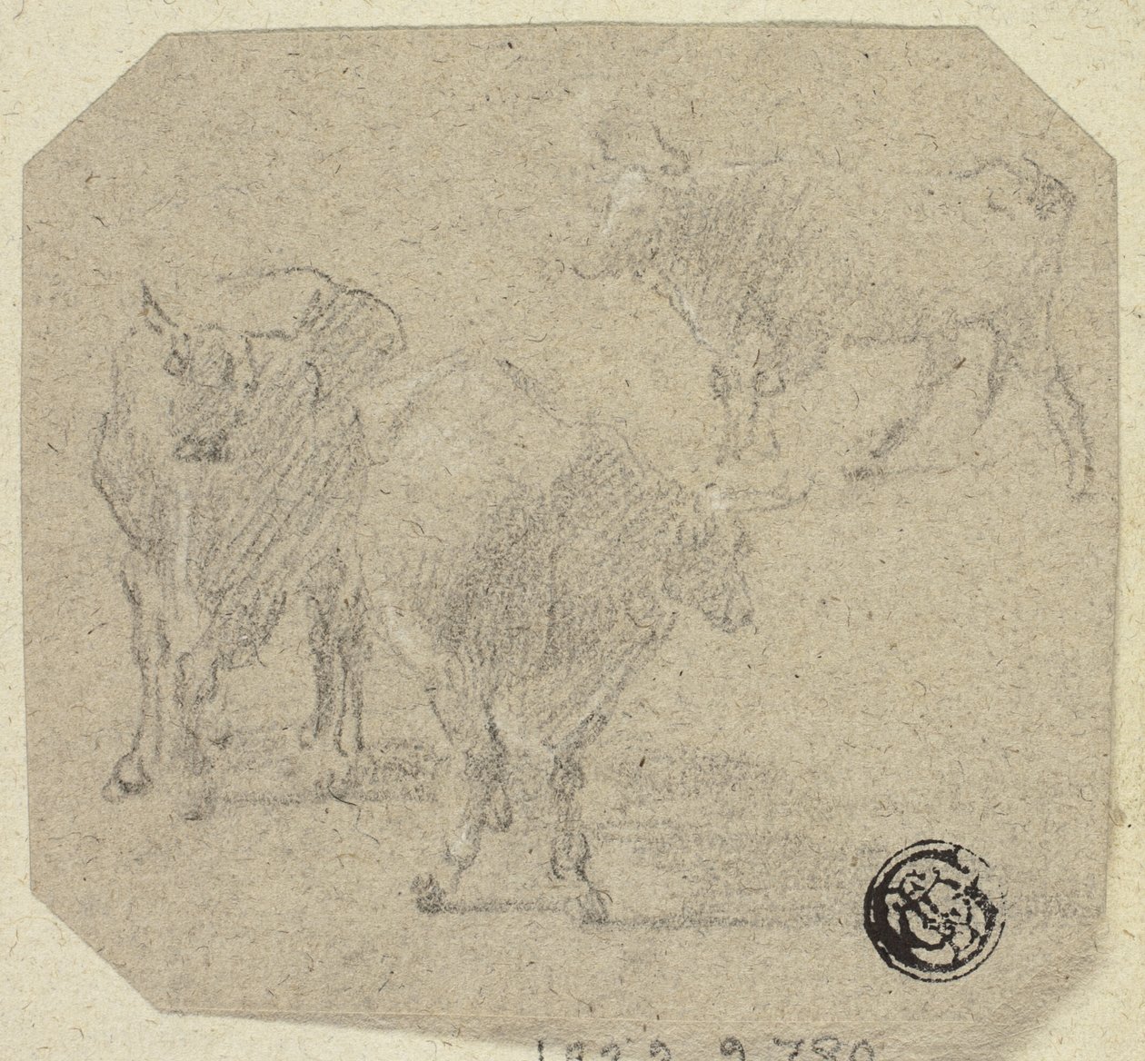 Três vacas de Unknown artist