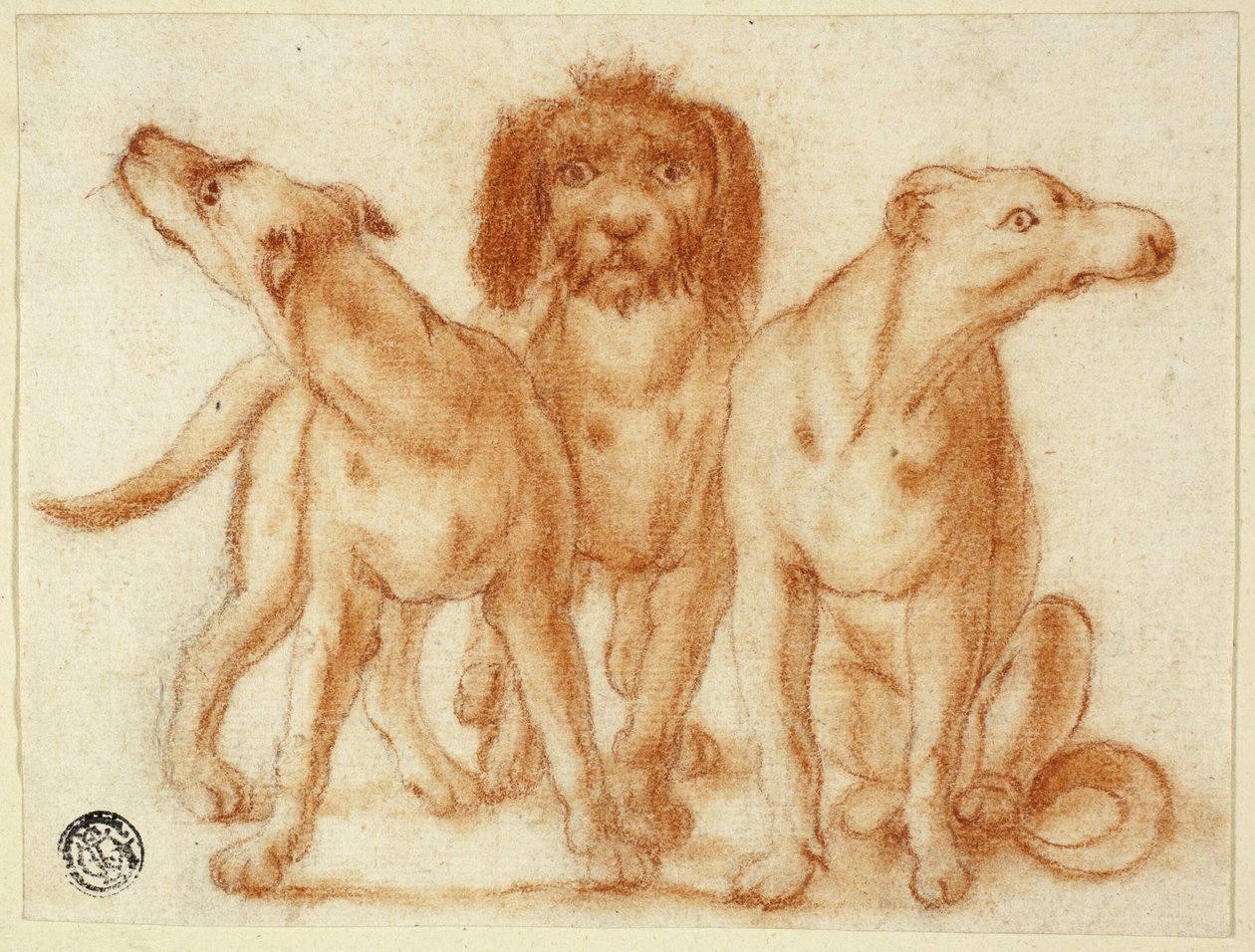 Três cachorros de Unknown artist