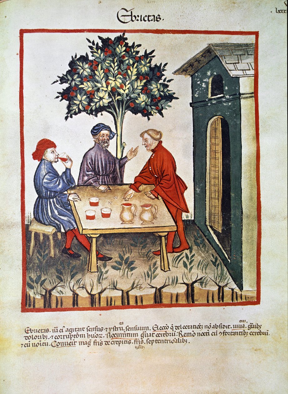 Tratar a medicina: Página "embriaguez" retirada de "Tacuinum sanitatis" (Cod. ser. nov. 2644) Por volta de 1400 Viena, Osterreischische Nationalbibliothek de Unknown artist