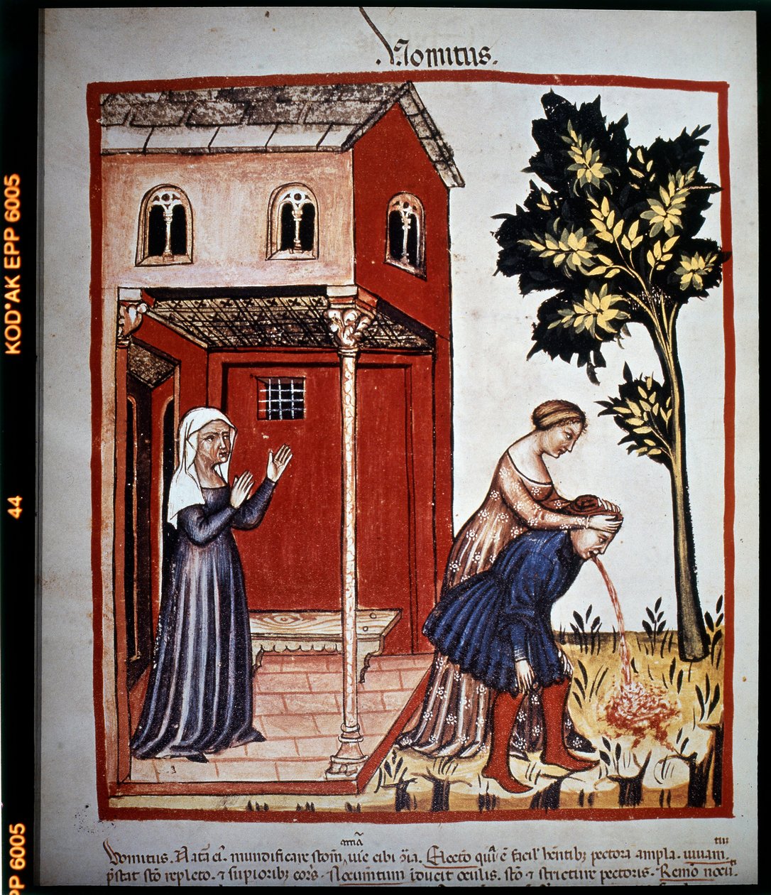 Tratado de medicina "Tacuinum sanitatis" do século XIV: o vómito. B.N., Viena. de Unknown artist