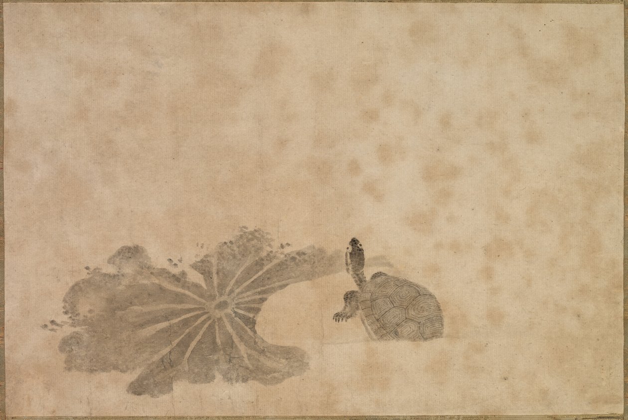 Tartaruga em uma lagoa de lótus de Unknown artist