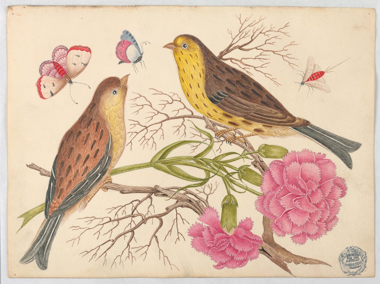 Dois pássaros marrons e amarelos em galhos com cravos e insetos de Unknown artist