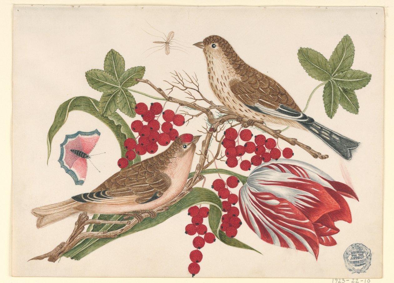 Dois pássaros marrons no galho com tulipa, frutas e insetos de Unknown artist