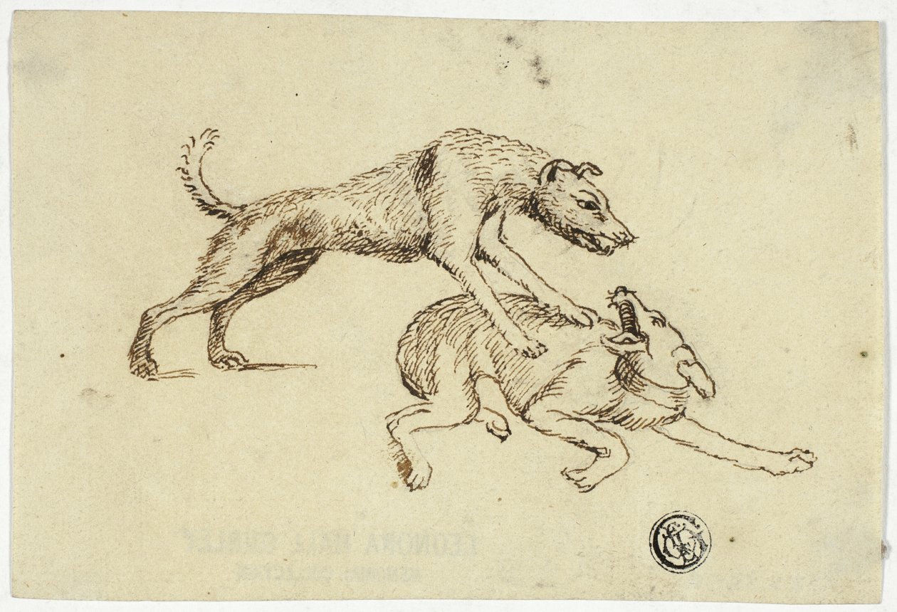 Dois cães a lutar de Unknown artist