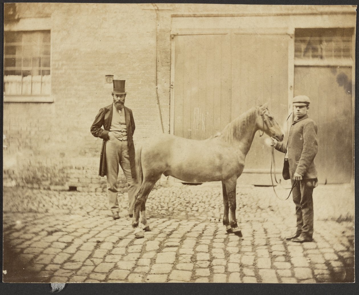 [Dois homens e um cavalo]. de Unknown artist