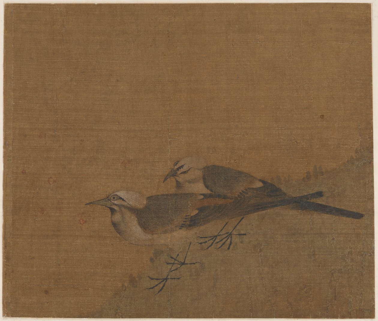 Duas alvéolas malhadas de Unknown artist