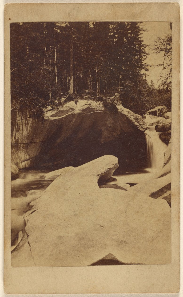 [Vista de floresta não identificada com rochas e caverna] de Unknown artist