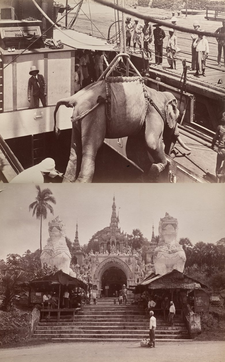 Sem título: (elefante a ser carregado para um navio, frente); (degraus e edifício, verso) de Unknown artist