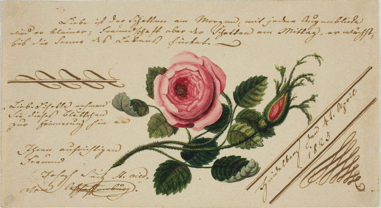 Valentim sem título (flor rosa) de Unknown artist